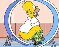 Homer 01