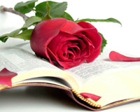 Bībele Rose